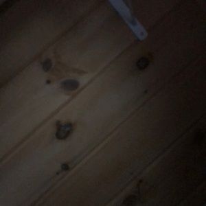 Meet your Posher, Hailey